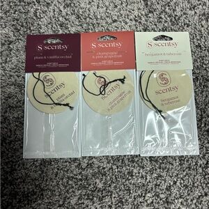 Scentsy Fragrance Circles (3)